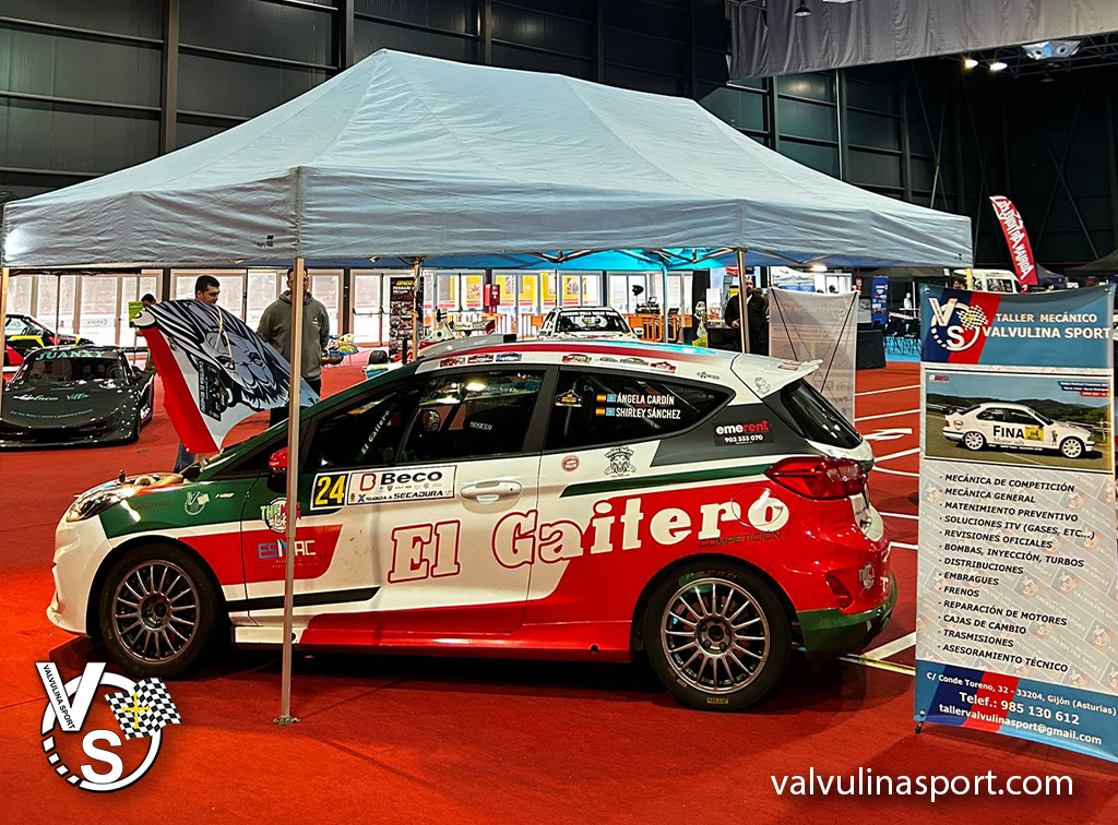 Valvulina Sport Taller 5_valvulina_sport_competicion valvulina-sport-taller-de-competicion